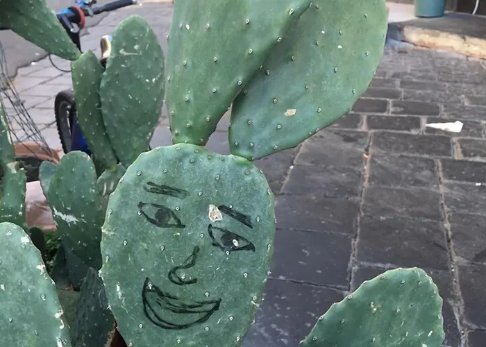 Casa Verdi - House Of Travelers 3* Catánia